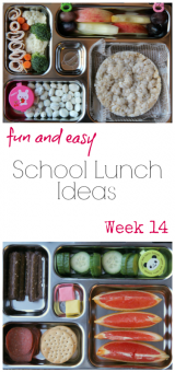 bento box Archives - Family Fresh Meals