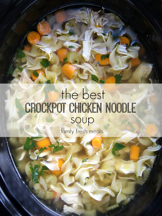 The Best Crockpot Chicken Noodle Soup - Family Fresh Meals