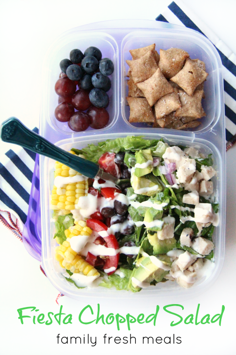 20 Healthy Packed Lunch Ideas For Eating on the Go