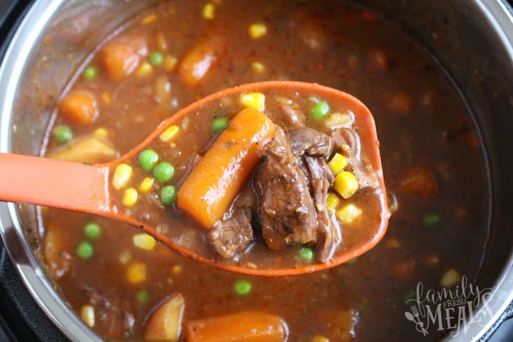 The Best Instant Pot Beef Stew - Family Fresh Meals