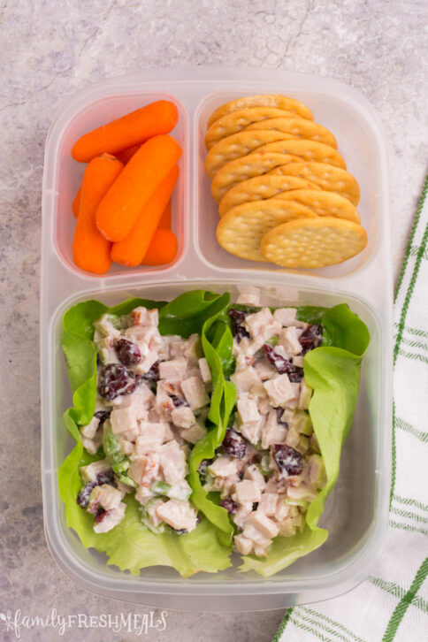 Leftover Thanksgiving Food Lunchbox Ideas - Family Fresh Meals